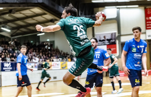 HGS-RheinNeckarLoewen-